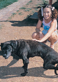 DOGGIE STYLE