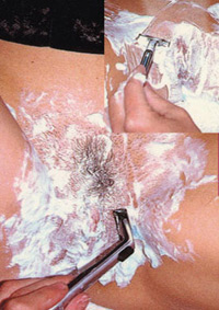 SHAVED TAILS 2