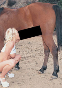 ANIMAL MAGNETISM